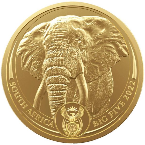 Słoń Big Five 1 uncja złota
